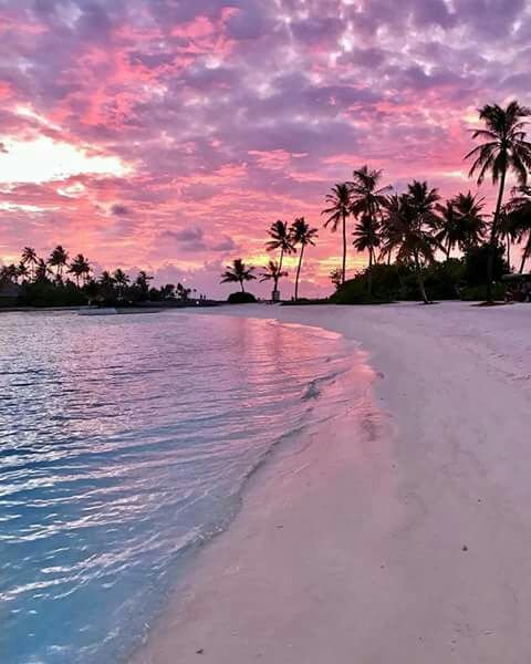 antoniocotugno4's tweet photo. Buon pomeriggio? https://t.co/DejEOoIVDD