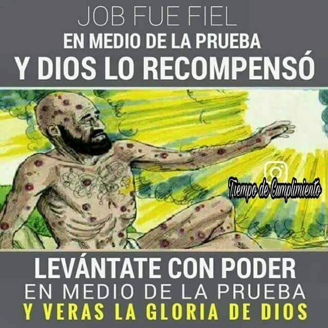 GerreraDe's tweet image. 