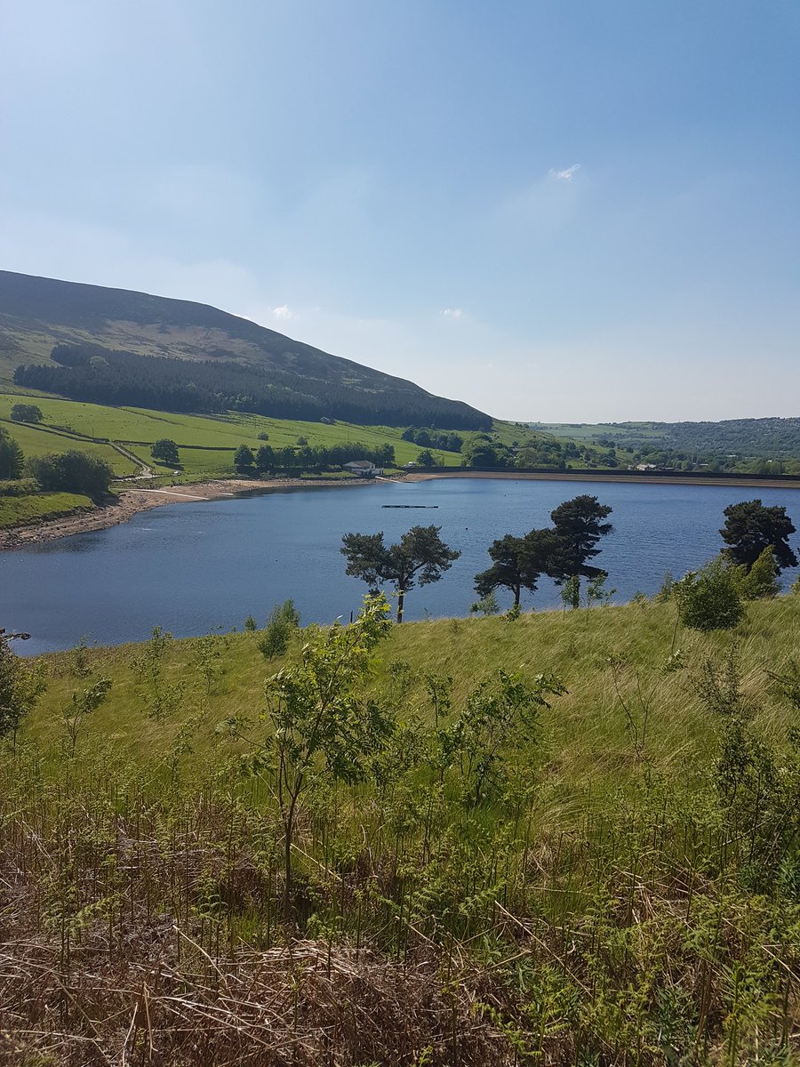 SamD1002's tweet image. Afternoon walk in the sun! #firstrestdayafternights