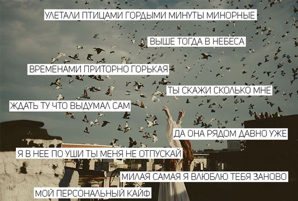 птицами выдумал текст. стихи про птиц для детей. ворона описание птицы для детей. сочините стихи на заданные рифмы курочка дудочка. описание любой птицы.