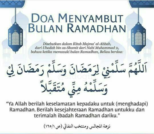 Rohis 31 tweet media