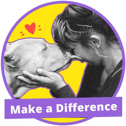 optunderground's tweet image. Thx to our customer for sharing @ilovefamilydog w/ us! A SF org that saves dogs of all sizes, breeds &amp;amp; personalities:buff.ly/2qoVht4