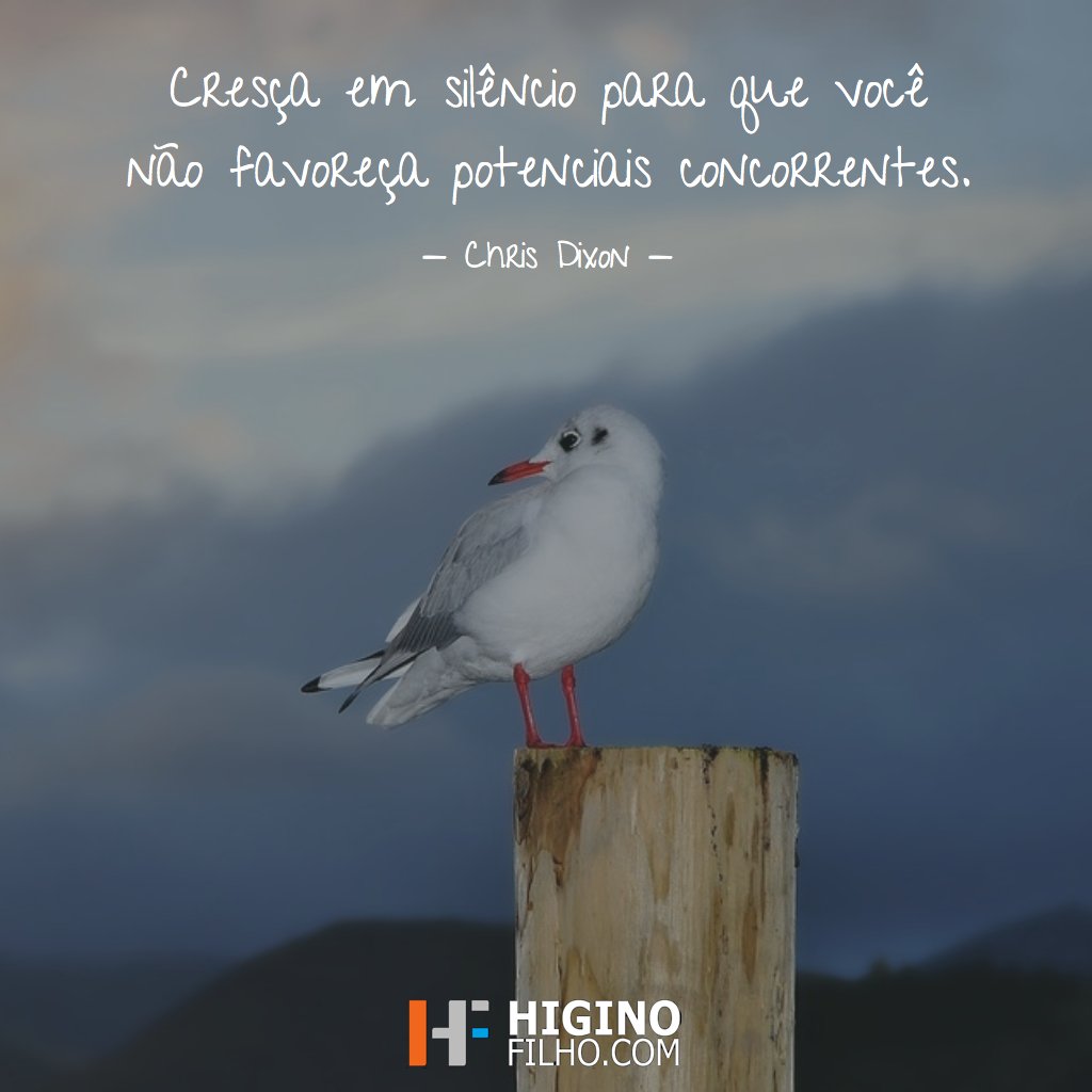 HiginoFilho's tweet photo. Cresça em silêncio para que você não favoreça potenciais concorrentes. — Chris Dixon @cdixon https://t.co/4h3UKXINFq