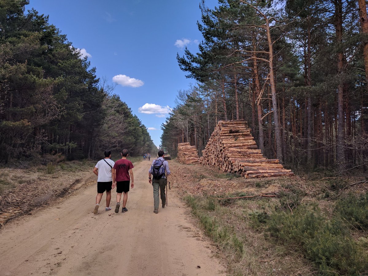 eforestal's tweet photo. Buen día de prácticas.
Muchas gracias a los #AAMM de #CyL por enseñarnos su trabajo. 👍
#Riocamba https://t.co/u8nOydI5jV