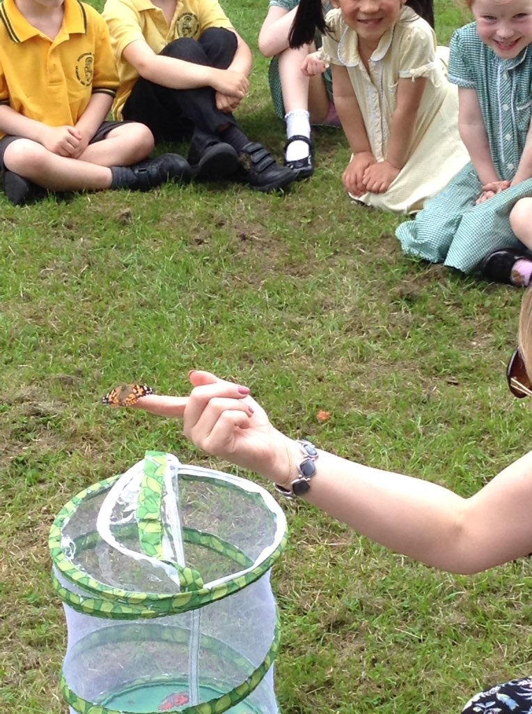 BHPSYearR's tweet photo. Today we let our butterflies out into the open world! https://t.co/77fycAwudd