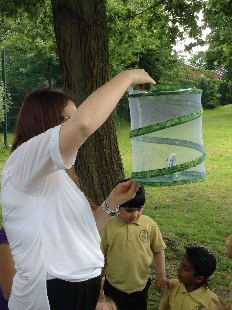 BHPSYearR's tweet photo. Today we let our butterflies out into the open world! https://t.co/77fycAwudd