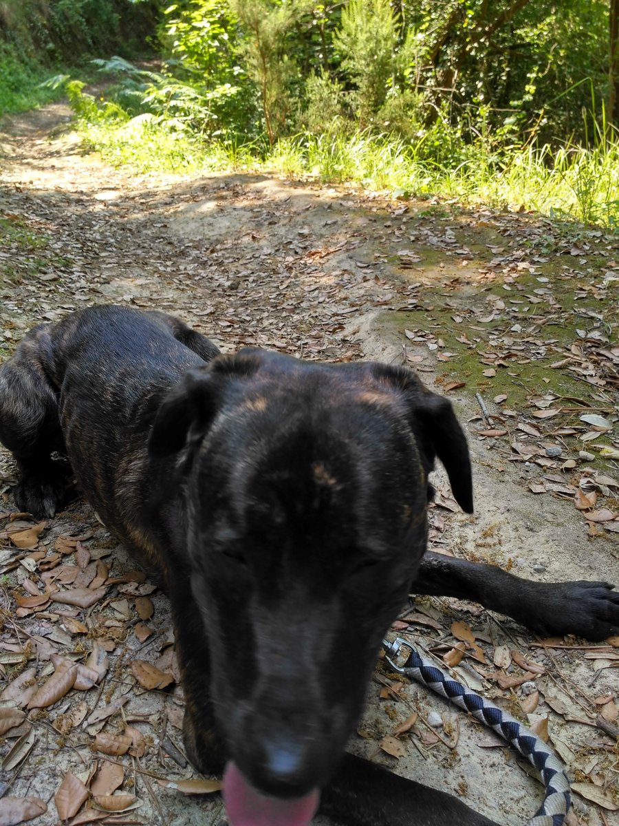 Bouille81 tweet picture