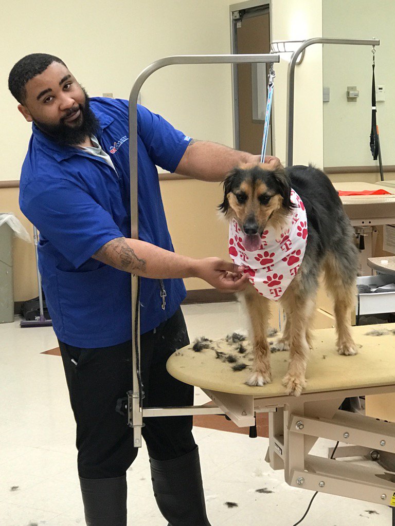Mac Amping the Mile with our friends at Pet Smart