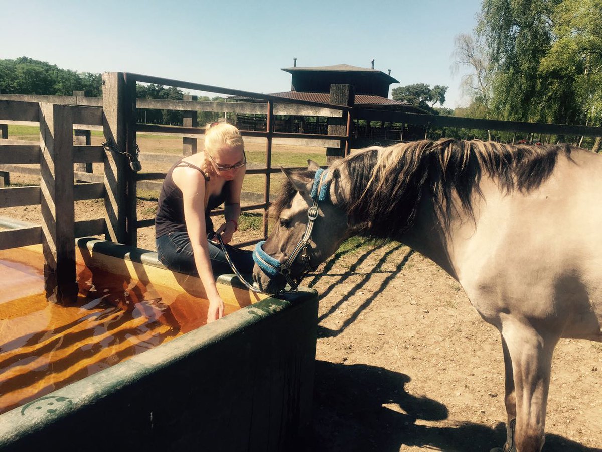 Erstmal etwas trinken