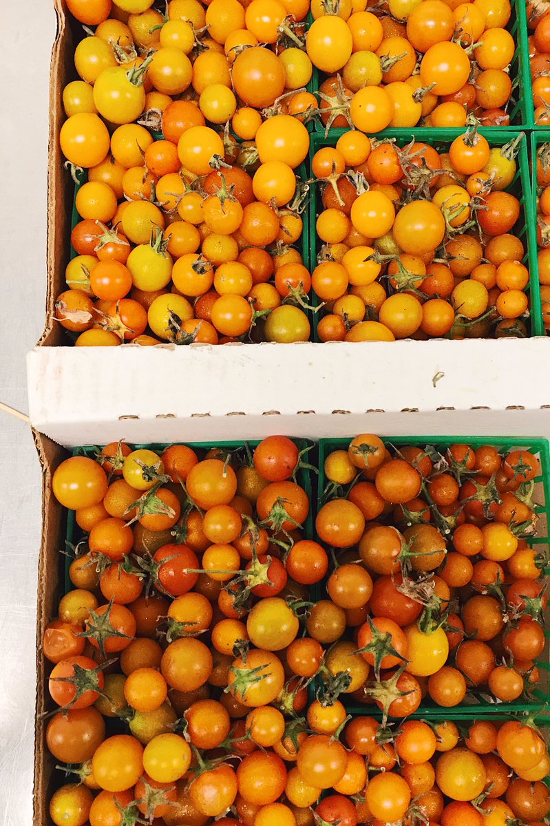 it's tomato season and we couldn't be happier 🍅🙌🏼