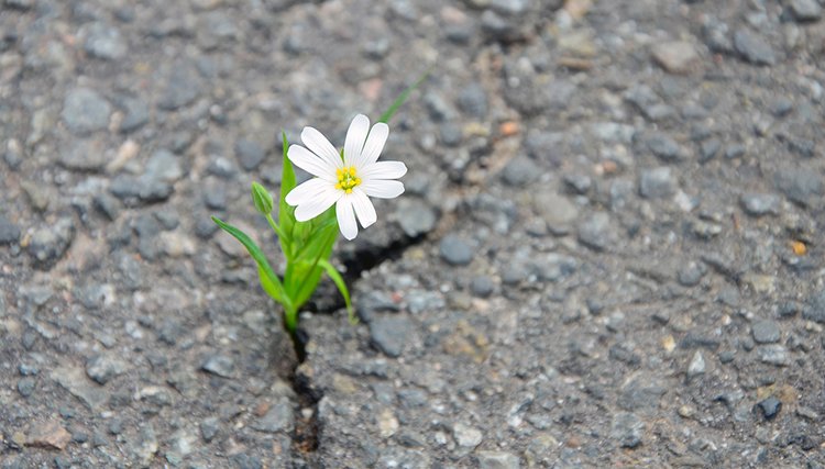 Une excellente « feel good » lecture pour un vendredi après-midi. #derien
#courage, #agencylife, #FridayFelling bit.ly/2rGWWPf