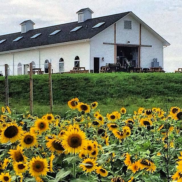 .<a href="/LCCB_FarmBrews/">Lickinghole Creek VA’s Farm Brewery</a>  in Goochland planning a $14 million expansion
#CraftBeer via <a href="/RTDNEWS/">Richmond Times-Dispatch</a> 
richmond.com/business/local…