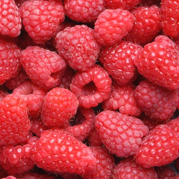 MyvitaminsUK's tweet photo. Looking for something to supercharge your summer #weightloss? ☀️
Find out how #RaspberryExtract could help you: https://t.co/QWlSfYV9Os https://t.co/JLFpvZHR43