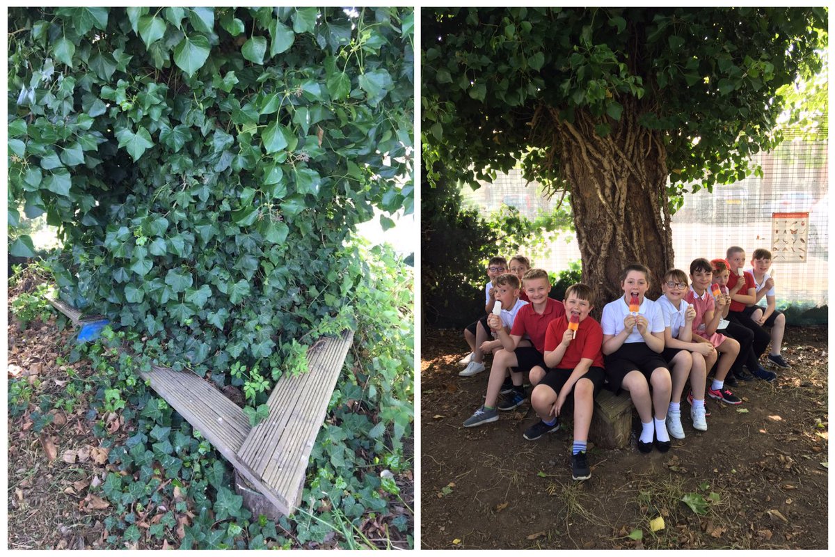 BPSinBloom's tweet photo. It's been a very hot and busy week, but we've finally won the 'War of the Weeds'!! 😁🏆
#ourbloom
@BoothferryPS https://t.co/nt64t2szpM