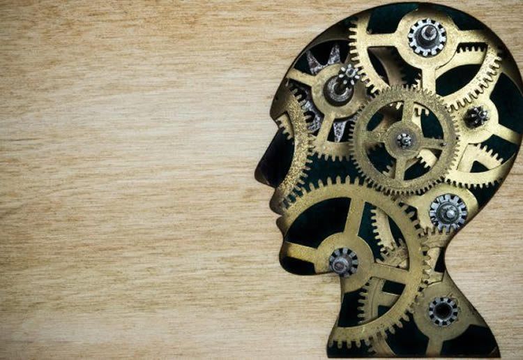 futureofmankind's tweet photo. Stop it! No Evidence That Brain Stimulation Technique Boosts Cognitive Training https://t.co/KzkS1LxS08 - It's a pity though... https://t.co/0mv3xul8Qu