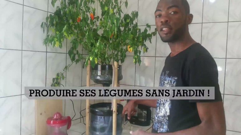 Les Observateurs tweet media