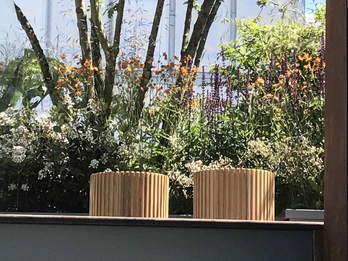KateGouldGarden's tweet photo. A few little details from City Living at #rhschelsea in the afternoon sunshine https://t.co/R4b5VnIUYB