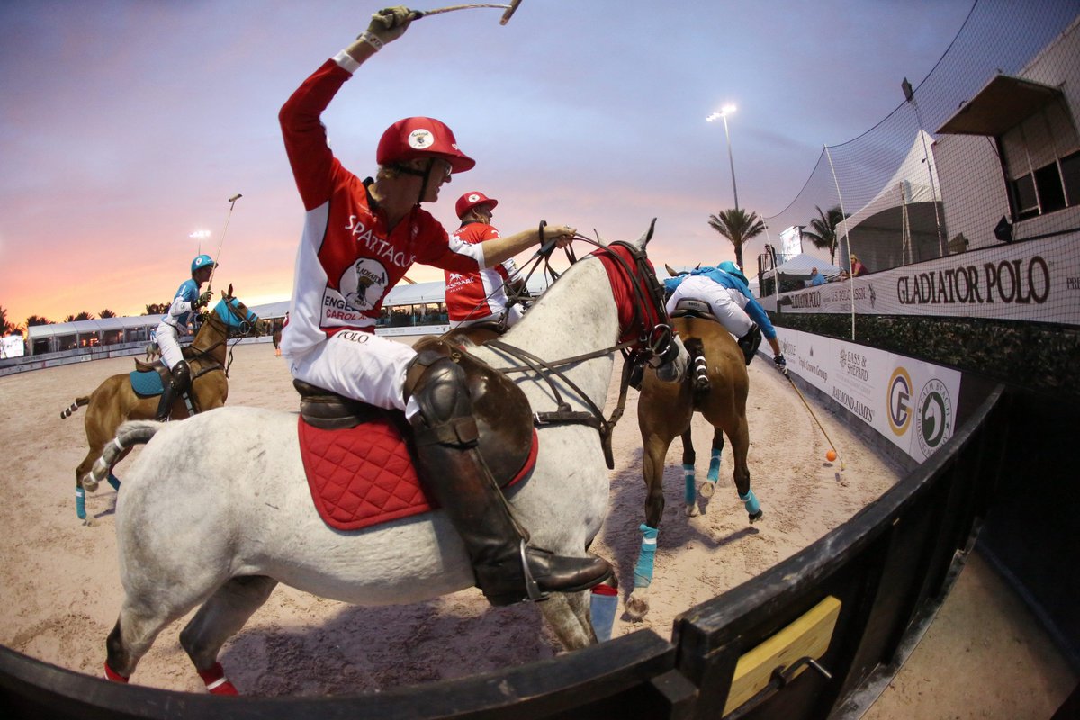 TryonResort's tweet photo. Gladiator Polo™ is coming to #TIEC! Check out the photos from the inaugural tour in Wellington here: https://t.co/VWHvQxUGGs https://t.co/VLzQ87OYXH