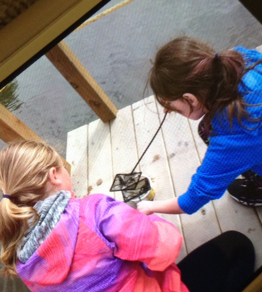 Lisa B.-Richard tweet media