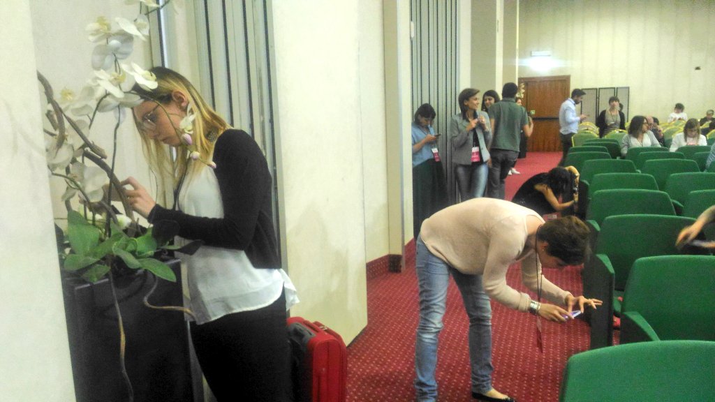 Irene Schillaci tweet media