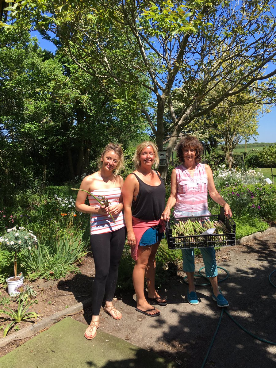 Thank you very much for your for your custom!! Our season is finally over! #stenodocasparagus #bestseason