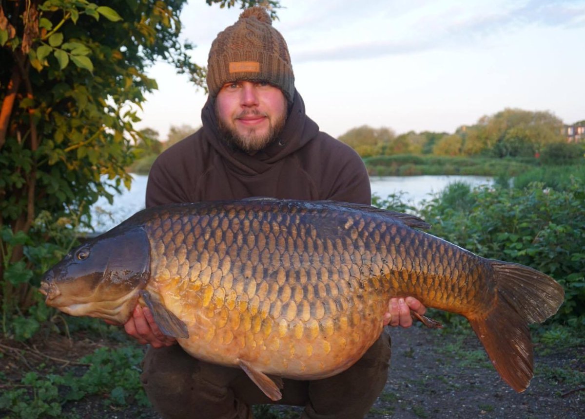 urban_bait's tweet photo. Zac West with 'The Big Common' from Stow 2&amp;3 at 43.10lb ! Caught last week during the BCAC qualifier on The Nutcracker !
#GetOnTheGoingBait https://t.co/TSMiBYysdo