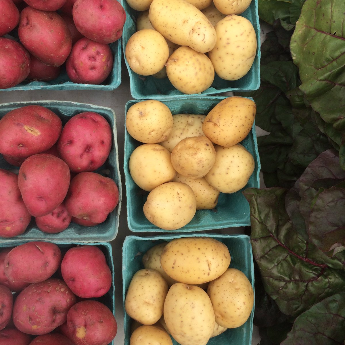 FRESHFARMMonroe's tweet photo. Forecast tomorrow shows dry until at least noon! Come out to market early before hunkering down in the rain #DC #farmersmarket #brookland https://t.co/9focOwGvFB