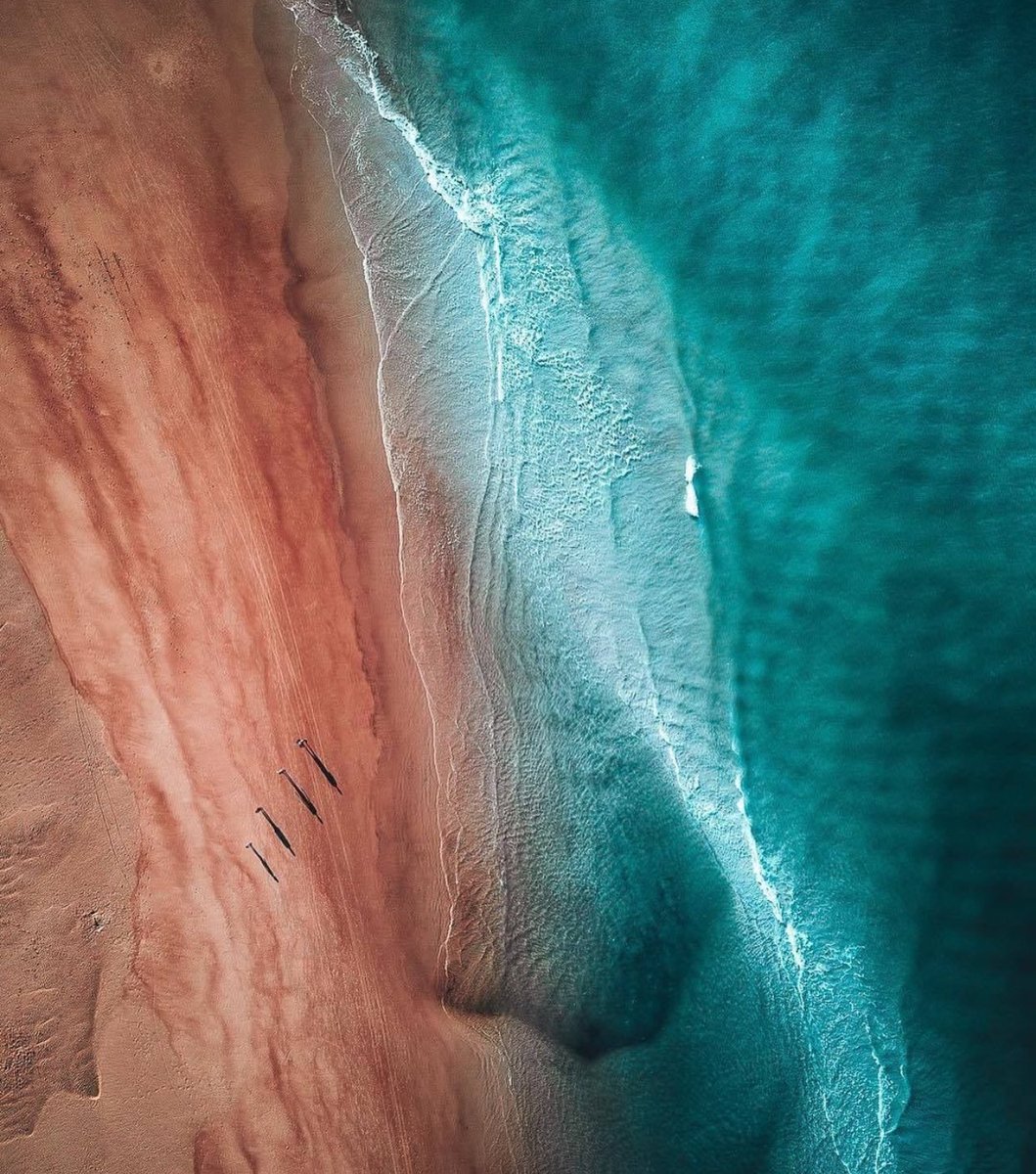 NatureOnPoint's tweet image. 