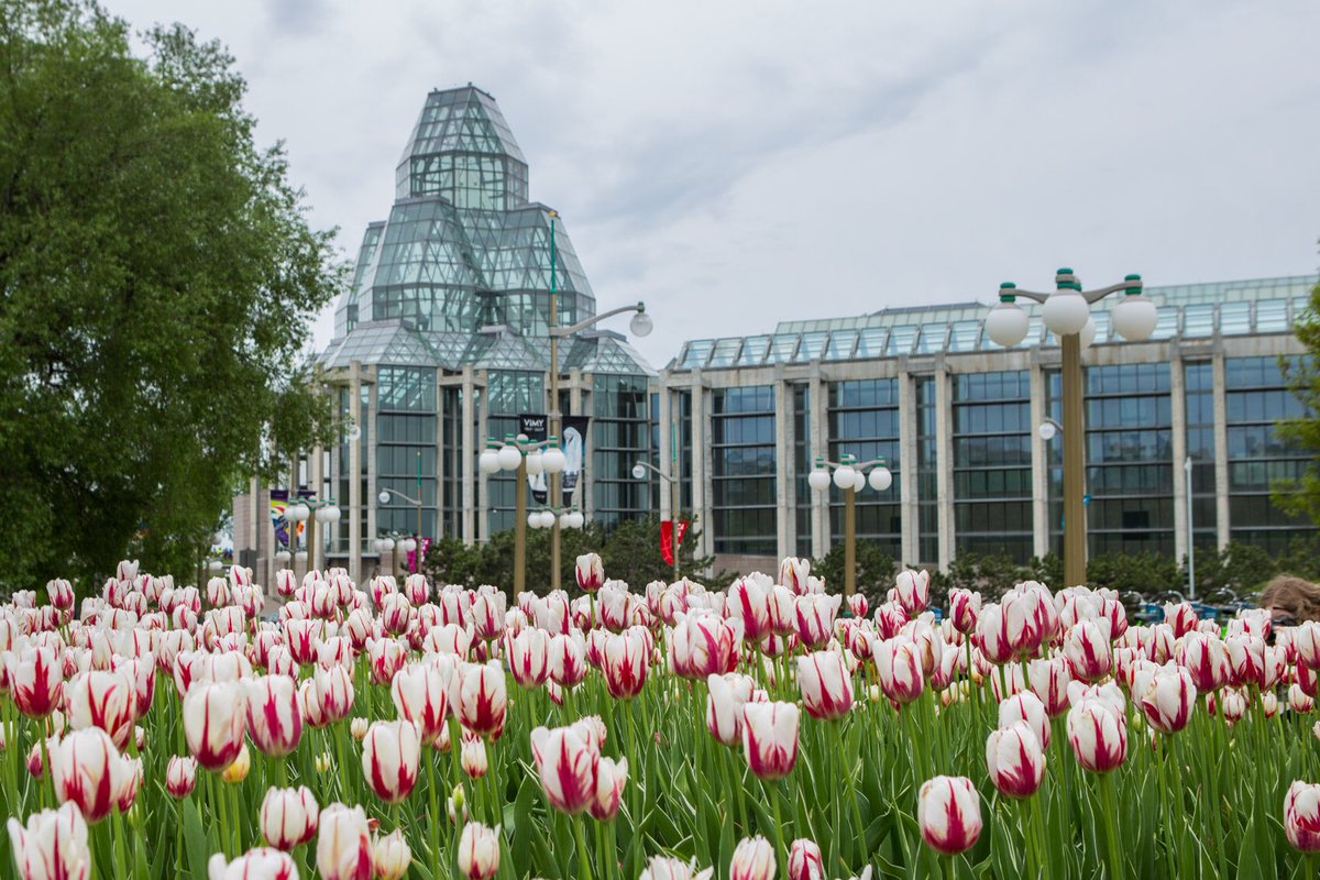 rolandbastphoto's tweet image. Tulip Festival with the @NatGalleryCan in the background. So many beautiful views around this city that includes the Tulips. #myottawa