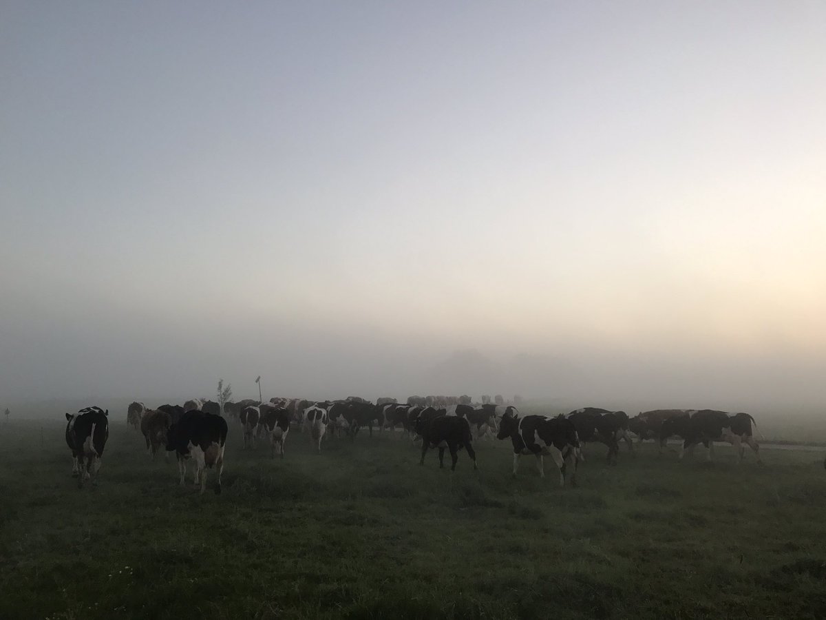 Jaring Brunia tweet media