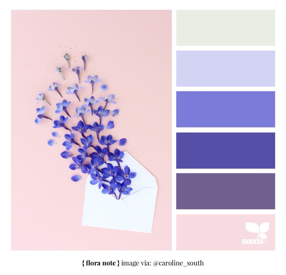 shayfrom_thebay's tweet image. Color Palette of The Day: Flora Note #DesignSeeds #Color