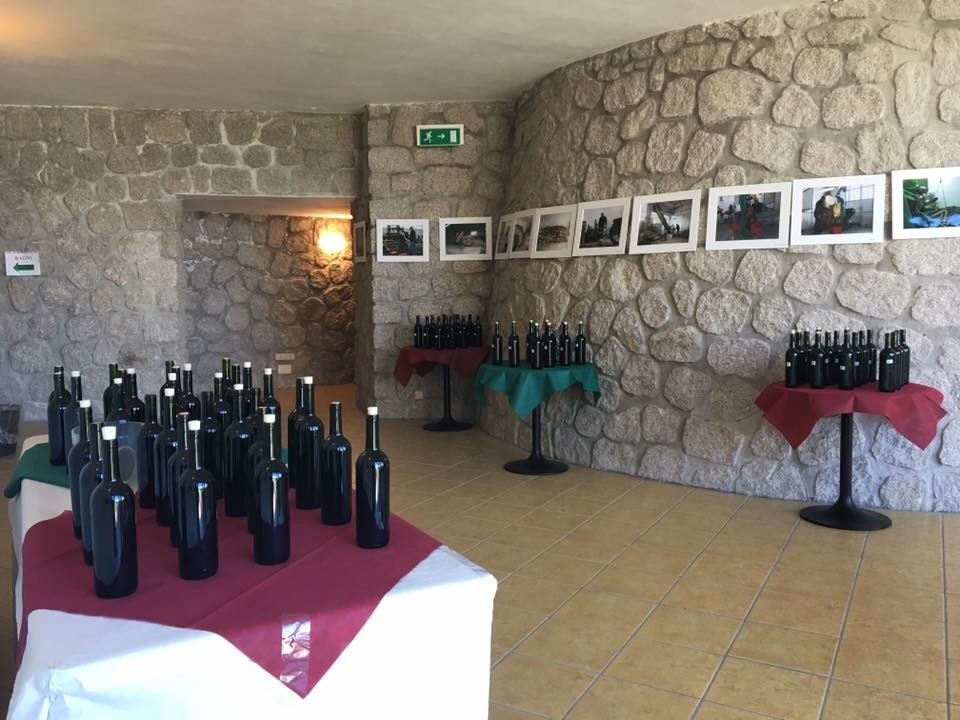 sardinia_in's tweet image. "Degustando il Vino" nella cena a buffet del Centro Pol. Marugnò 
Ad #Aggius tra i @BorghiAutentici della #Sardegna  🍷🍷🍷