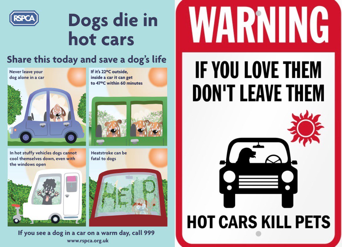 Nicholas Cat (WarwickCat) Twitter