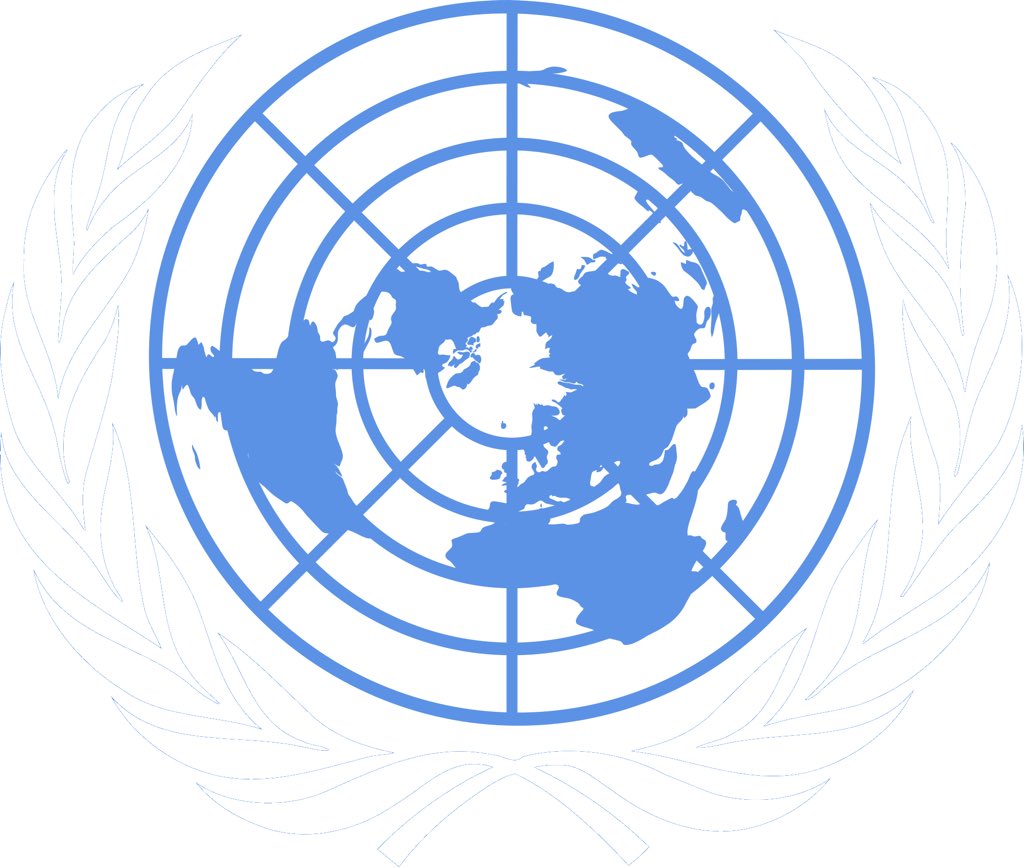 Организации с логотипом плоской земли. Герб оон плоская земля. Эмблема оон карта плоской земли. Логотип плоской земли. Герб оон плоская земля.