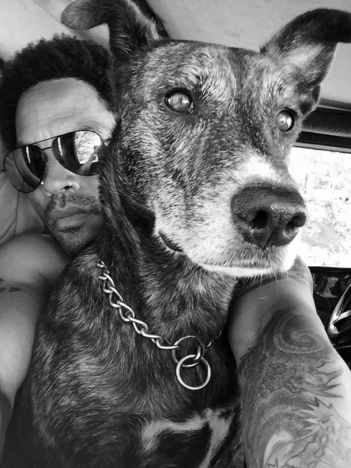 Happy birthday to the amazing Lenny Kravitz!  