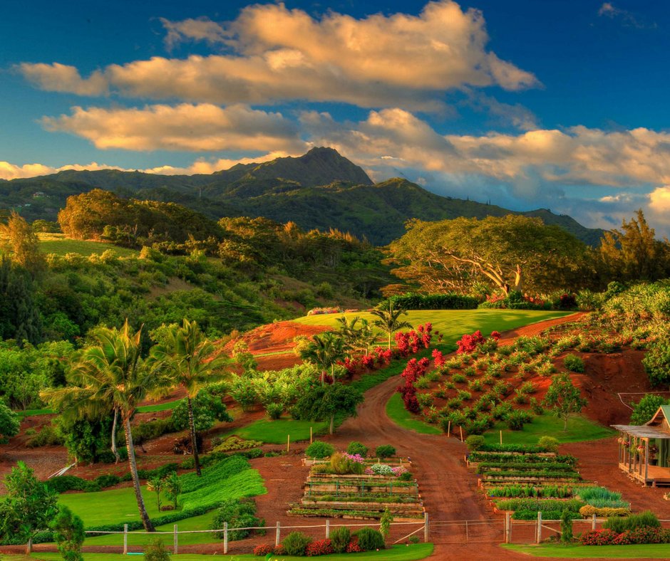 MesaSostenible's tweet image. #Permaculture designs will take more initial work &amp;amp; an understanding of a willingness to learn about the complexity of #natural systems.