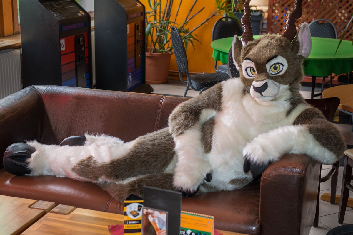 Blackbucked's tweet photo. Hey, where is my drink? 🍸
Wanna spend me some company for #FursuitFriday? https://t.co/D83wGDQ2zy
