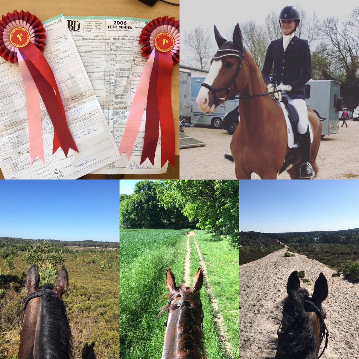 Tor Fenwick Dressage tweet media