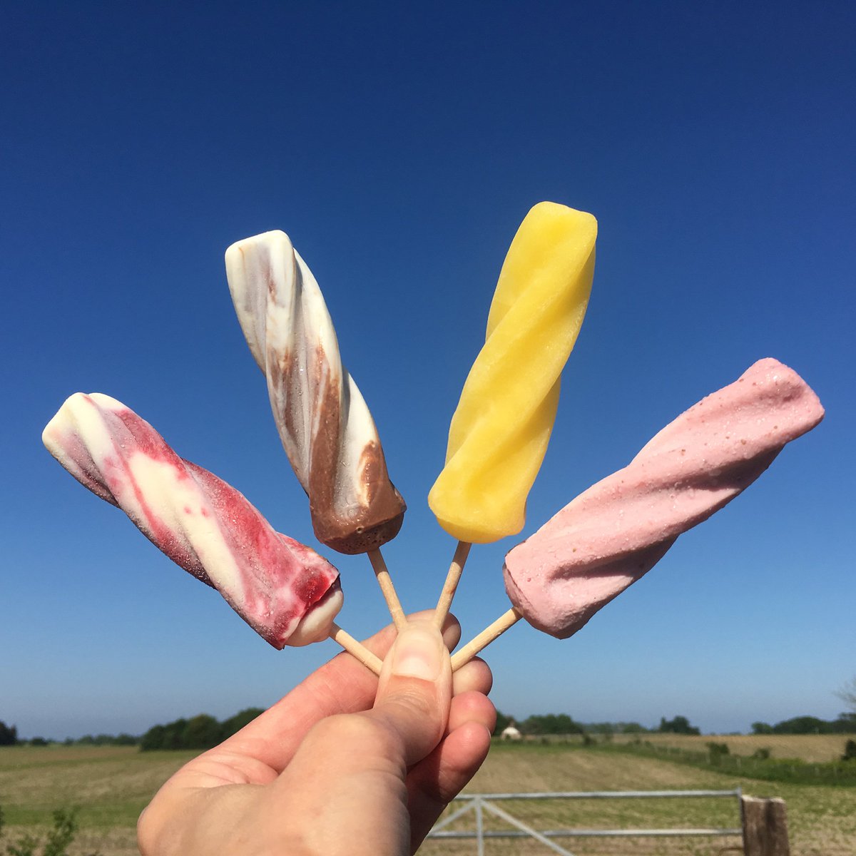 Get down to @JimmysFarmHQ this bank holiday and try one of our Lickety Ice lollies #allnaturalingredients #suffolk #summer #icelollies