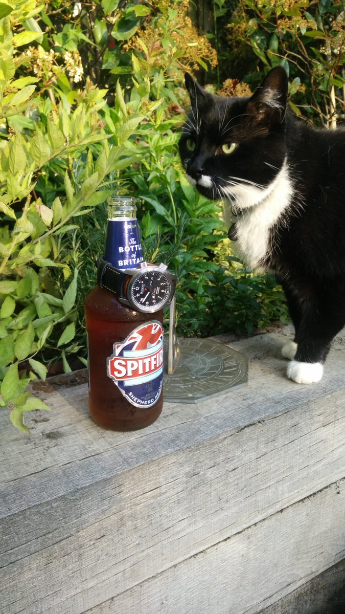 timekeeper_al's tweet image. All #british: #beer #watch + #cat 😉 #spitfireale #bremont #topcat