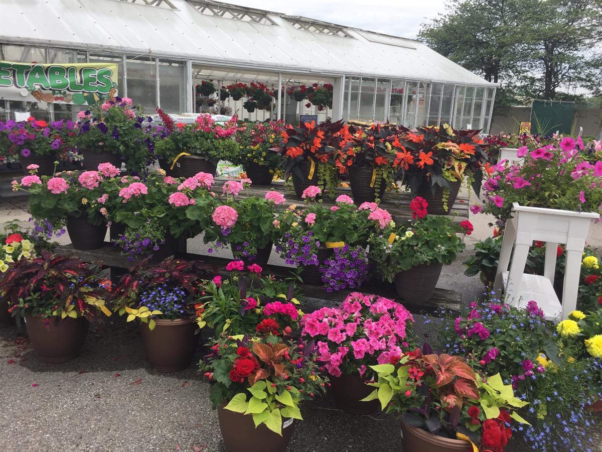 Bertholds Floral Bertholdsfloral Twitter