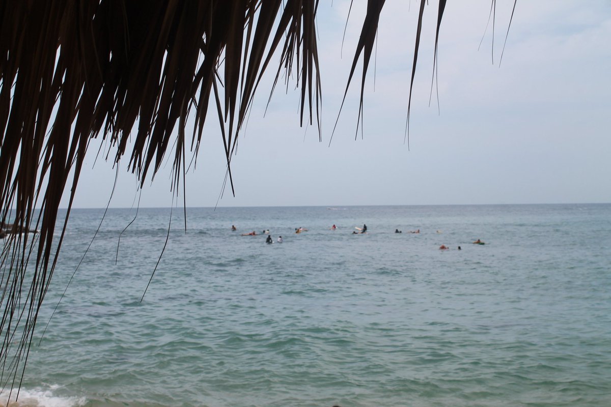 LaPlayaMX's tweet photo. La Playa MX - Soluciones Reales
https://t.co/Ui5Zec0dq6 https://t.co/CBw9Egh2R0