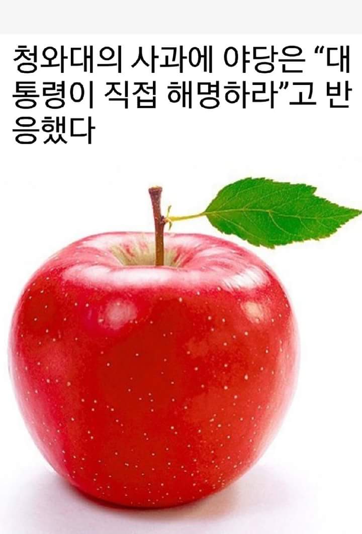 1. 국회의원 주민소환제 도입하자!
2. 국회의원 인사청문회 도입하자!
3. 국회의원 중간평가제 도입하자!(펌