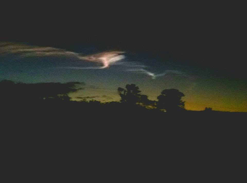 Messiah Fishing tweet media