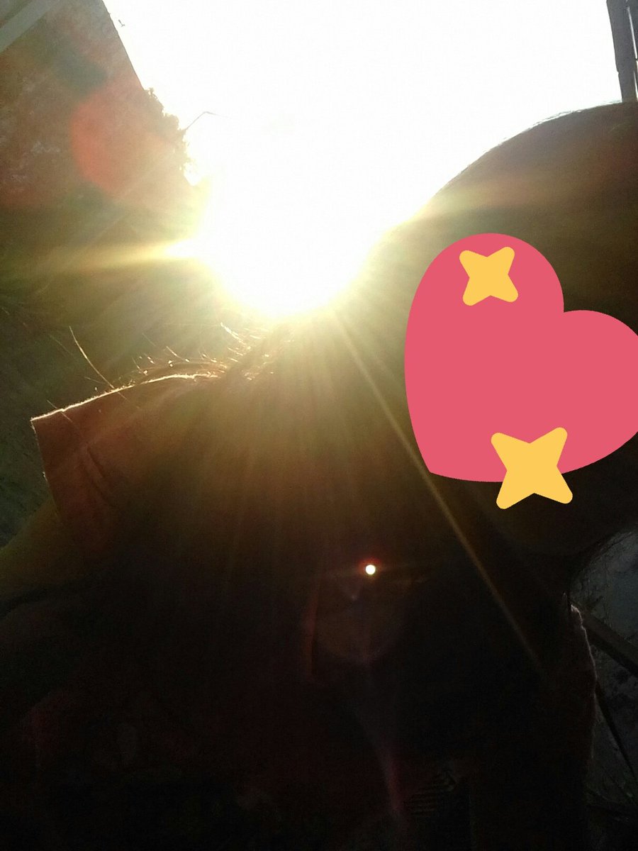 ariieldaa_'s tweet photo. 🌄🌇🌅 https://t.co/Xw2j71tdHF