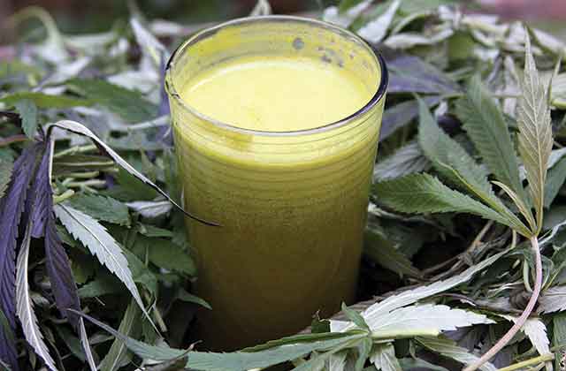 HIGH_TIMES_Mag's tweet photo. Wake Up To The Incredible Benefits of Juicing Raw Cannabis for Serious Health Benefits. (No You Won't Get Stoned) https://t.co/pXvWd0ZJfN https://t.co/2xCUbKmhue