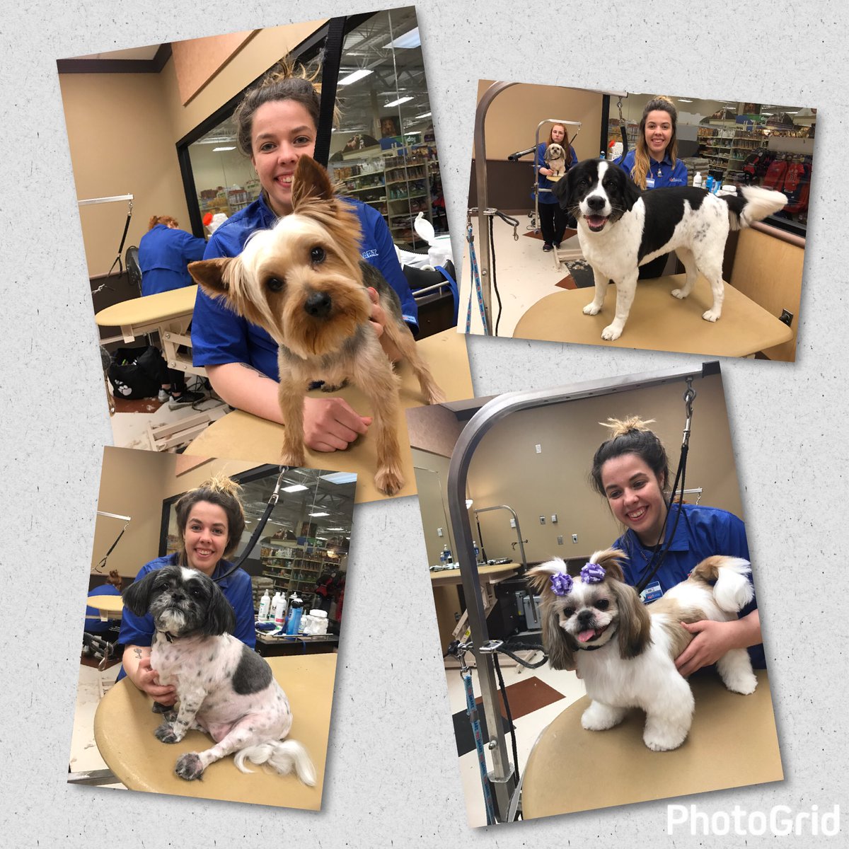 Nina's academy story <a href="/PetSmart3029/">Petsmart Westerly</a>