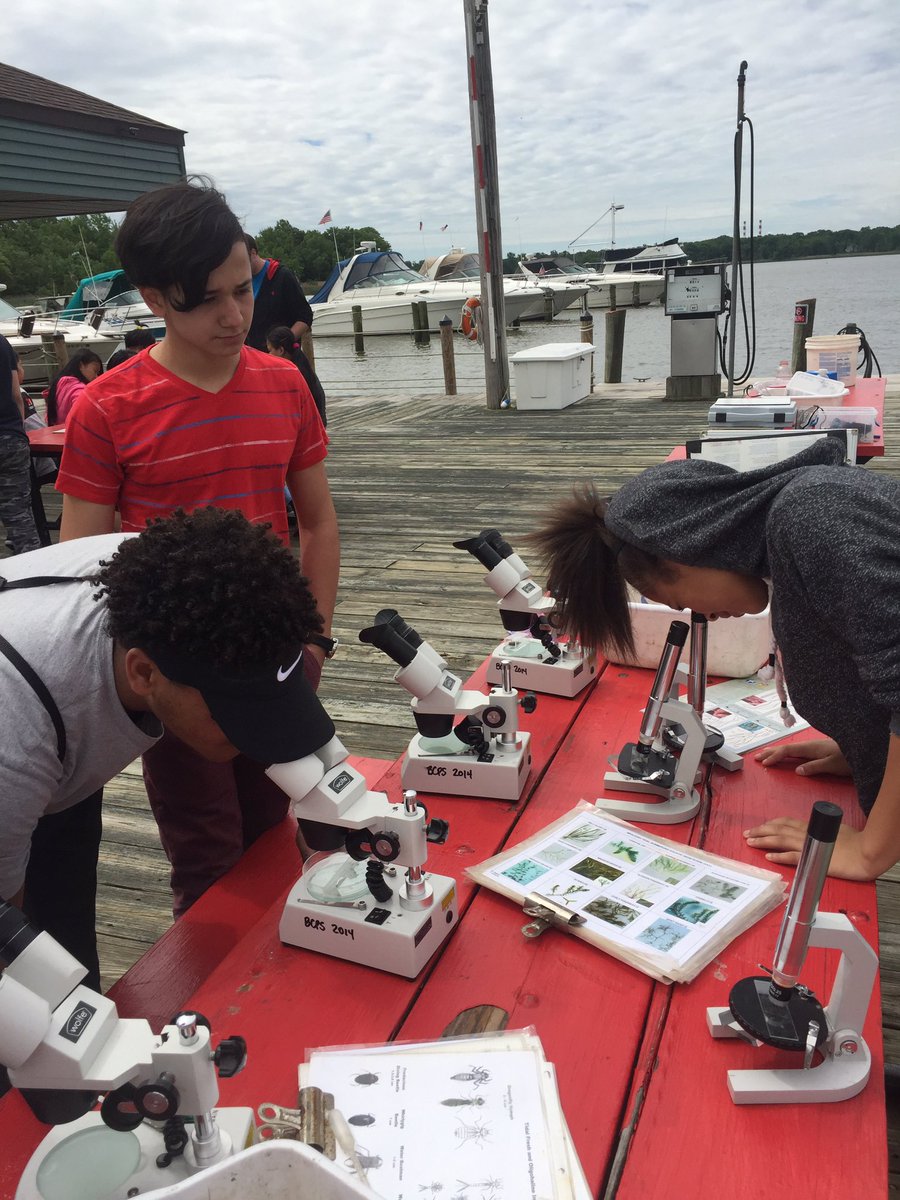 budinger03's tweet photo. Thanks for a great day @DundalkMS investigating Dundee Creek. Always a good day when a fish gets a kiss @BCPSSci @BCPSOutdoorSci https://t.co/MzpsVtxyBR