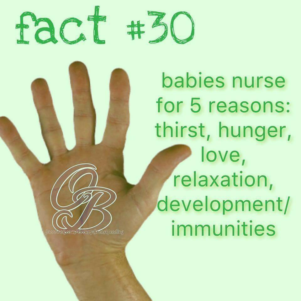 UTPlacentaEncap's tweet photo. #Breastfeeding fact: #Babies #nurse for 5 reasons: thirst, hunger, #love, #relaxation, development / immunities. https://t.co/RmHIz9Z3B9
