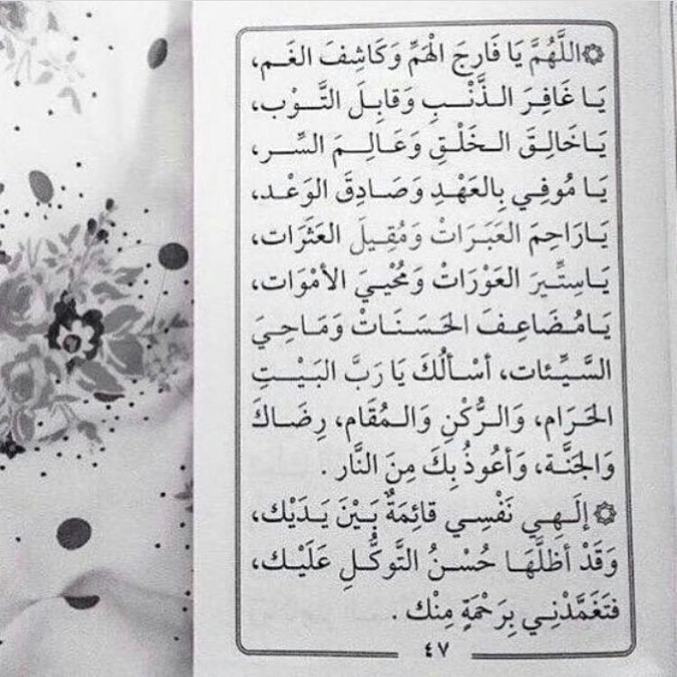 xnoof_8's tweet photo. أمين يارب💛. https://t.co/d0OJeVU5D2